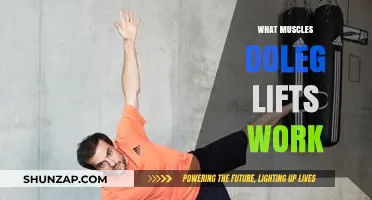 Leg Lifts: Targeting Core, Hip, and Lower Body Muscles Effectively