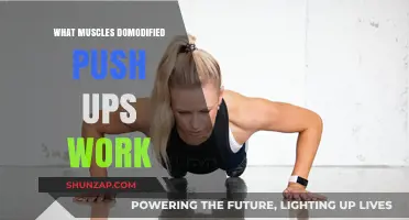 Modified Push-Ups: Targeted Muscles and Effective Variations Explained