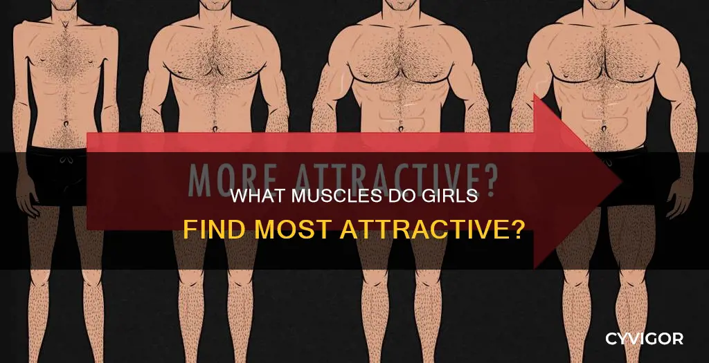 what muscles dongirls like most