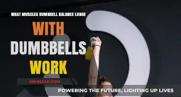 Dumbbell Balance Lunge: Targeted Muscles and Benefits Explained