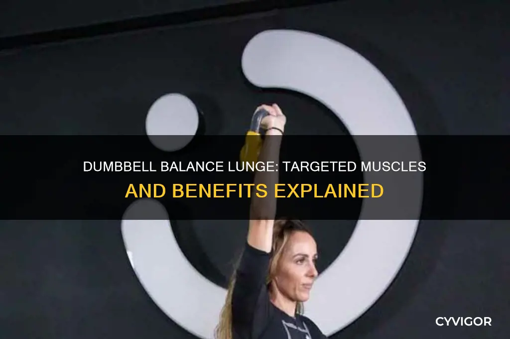 what muscles dumbbell balance lunge with dumbbells work