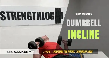 Incline Dumbbell Press: Which Muscles Are Targeted?
