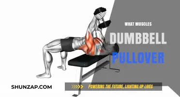Dumbbell Pullover: Target Your Back, Chest, and Arm Muscles