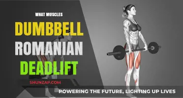 Romanian Deadlift: Targeting Muscles With Dumbbells