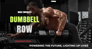 Building Back Muscles with Dumbbell Rows