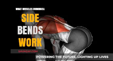 Dumbbell Side Bends: Targeting Obliques and Core Muscles Effectively