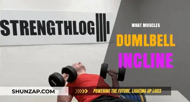 Incline Dumbbell Press: Which Muscles Does it Work?