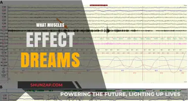 How Muscles Affect Your Dreams