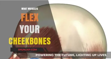 Flexing Facial Muscles: How to Get Higher Cheekbones