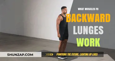 Backward Lunges: Target Muscles and Benefits for Lower Body Strength