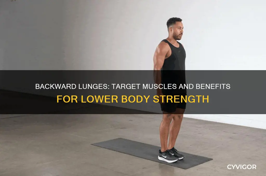 what muscles fo backward lunges work