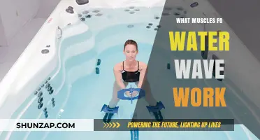 Muscles Engaged in Water Wave Workouts: A Comprehensive Guide