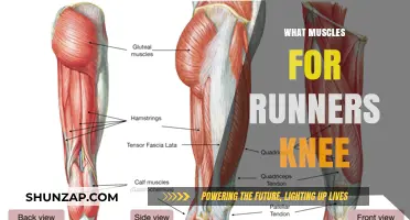 Knee Pain and Running: Which Muscles to Target