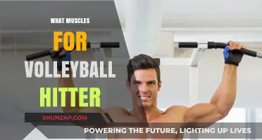 Develop Explosive Power: Muscles for Volleyball Hitters