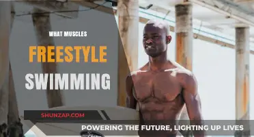 Freestyle Swimming: Which Muscles Get a Workout?