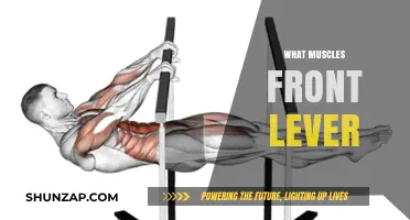 Front Lever: Which Muscles Does It Work?