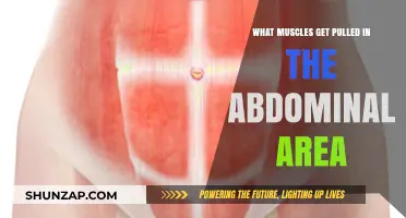 Understanding Abdominal Muscle Strains: Common Injuries and Pulled Muscles