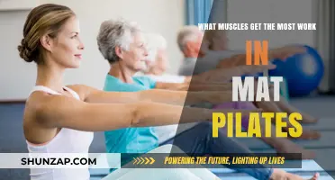 Mat Pilates Muscles: Core, Glutes, and More in Every Move