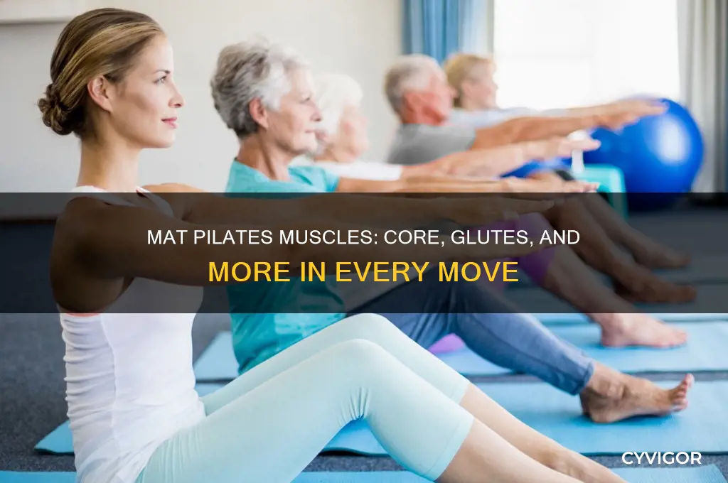 what muscles get the most work in mat pilates