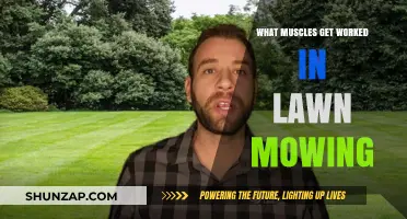 Lawn Mowing Workout: Muscles Engaged While Cutting Your Grass
