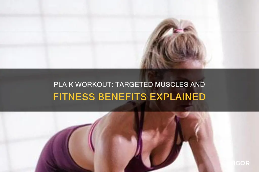 what muscles get worked out by pla k