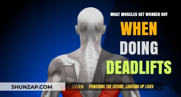 Deadlifts: Unlocking Full-Body Strength and Targeted Muscle Engagement