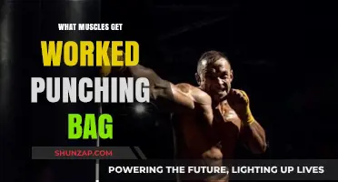 Punching Bag Power: Muscles Engaged in Every Strike and Swing