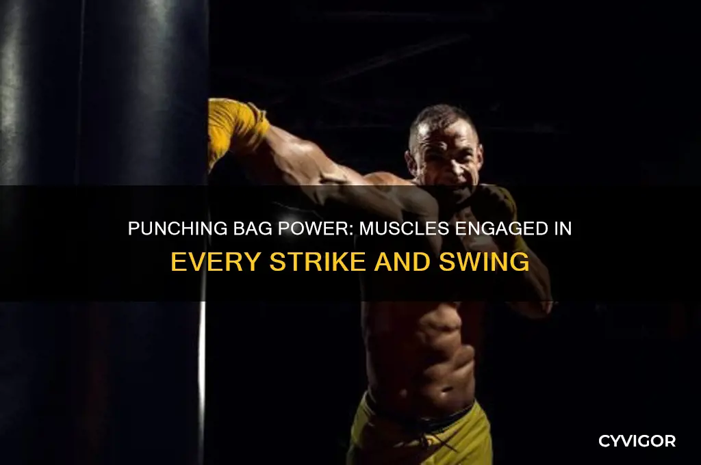 what muscles get worked punching bag