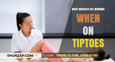 Tiptoe Benefits: Muscles Engaged and Strengthened When Standing on Toes
