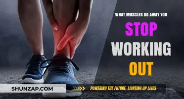 Muscle Loss After Stopping Workouts: What Happens to Your Body?