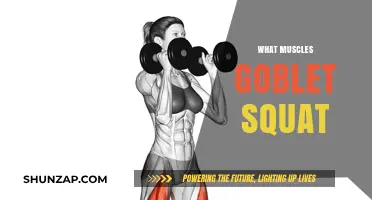 Goblet Squat: Which Muscles Does It Target?