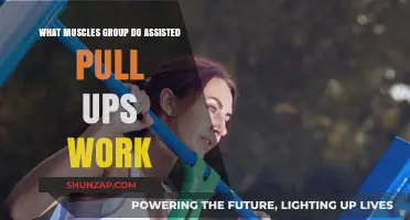 Assisted Pull-Ups: Targeted Muscle Groups and Benefits Explained