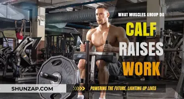 Calf Raises: Targeted Muscles and Benefits for Lower Leg Strength