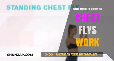 Chest Flys: Targeted Muscles and Benefits for Upper Body Strength
