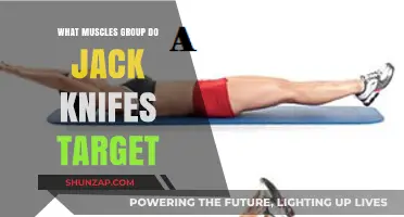 Jack Knife Workout: Targeted Muscle Groups and Core Benefits Explained