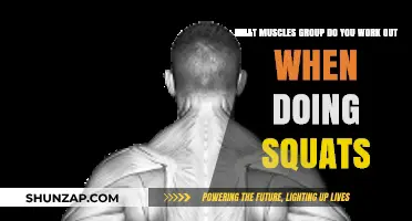 Squats: Targeting Key Muscle Groups for Strength and Stability