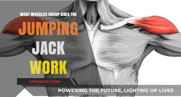 Jumping Jacks: Targeted Muscle Groups and Full-Body Benefits Explained
