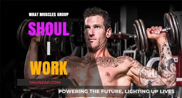 Target the Right Muscles: A Guide to Effective Group Workouts