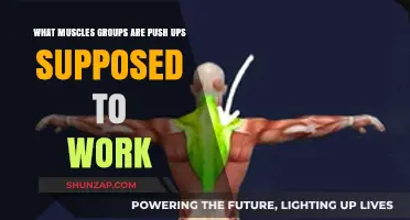 Push-Ups: Targeting Chest, Shoulders, Triceps, and Core Muscles Effectively