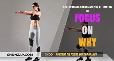 Targeted Muscle Groups: Understanding Your Focus and Fitness Goals