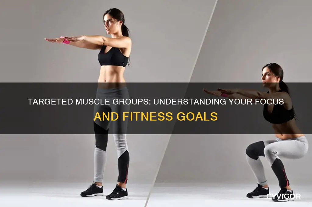 what muscles groups are you attempting to focus on why