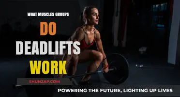 Deadlifts: Unlocking Full-Body Strength and Targeted Muscle Engagement