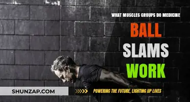 Medicine Ball Slams: Targeted Muscle Groups for Full-Body Strength