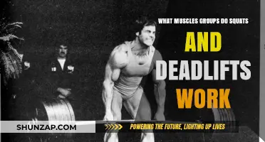 Squats and Deadlifts: Unlocking Full-Body Muscle Engagement and Strength