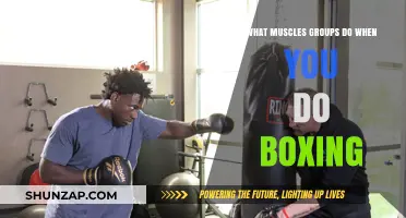 Boxing's Full-Body Workout: Targeted Muscle Groups and Benefits
