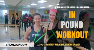 Pound Workout Muscles: Targeted Groups for Full-Body Strength Training