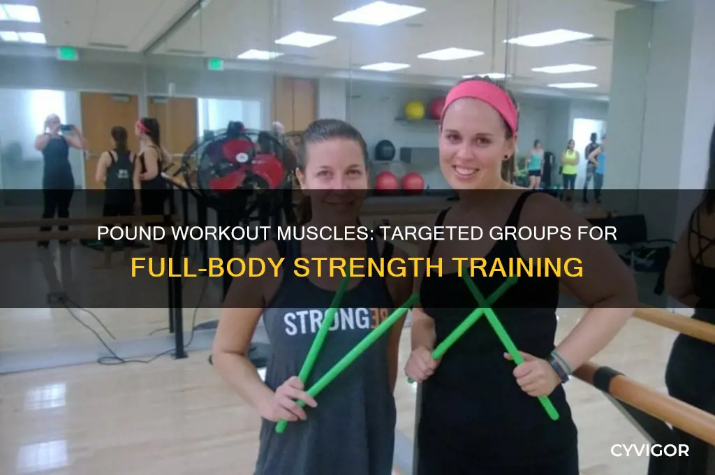 what muscles groups do you work in pound workout