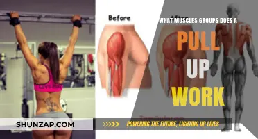 Pull-Ups: Targeting Back, Arms, and Core Muscle Groups Effectively