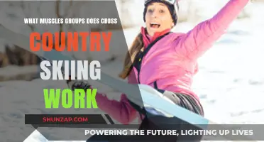 Cross-Country Skiing: A Full-Body Workout Targeting Key Muscle Groups