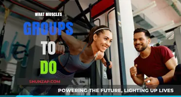 Effective Muscle Group Workouts: Targeting Strength and Balance Daily